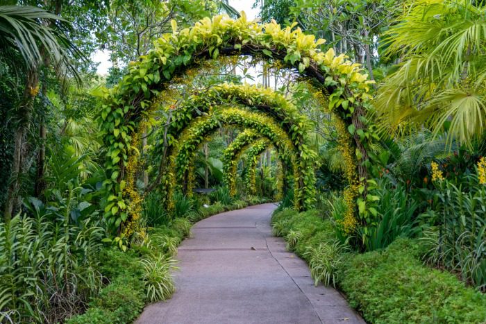 Curved path surrounded by greenery and plant-covered arches