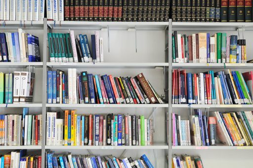 Shelves stocked with educational and reference books.