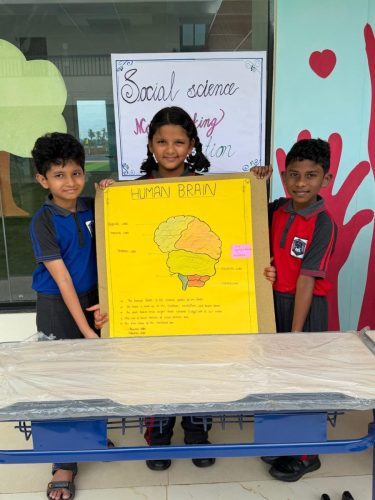 Copy of Display of Social Science models.